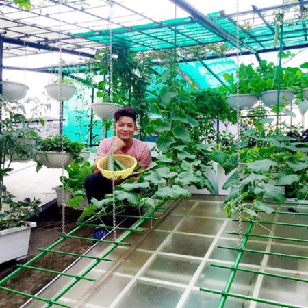 thiết kế vườn rau - thiết kế home xinh