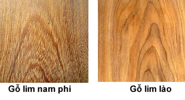 Gỗ Lim, các loại gỗ tự nhiên dùng trong nội thất