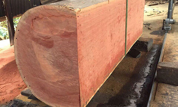 Gỗ Xoan Đào, các loại gỗ tự nhiên dùng trong nội thất